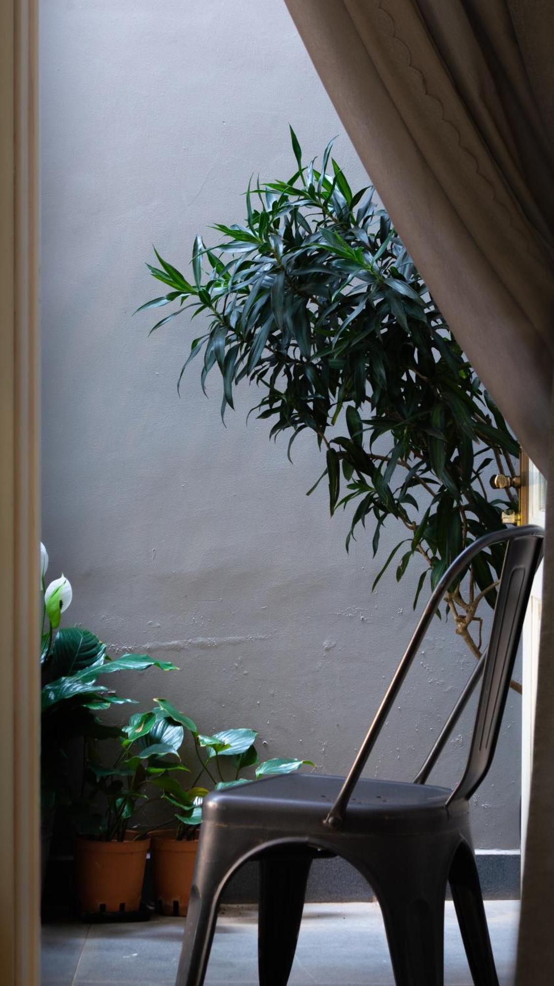 Le Soleil Boutique Hotel Đà Lạt Exterior foto