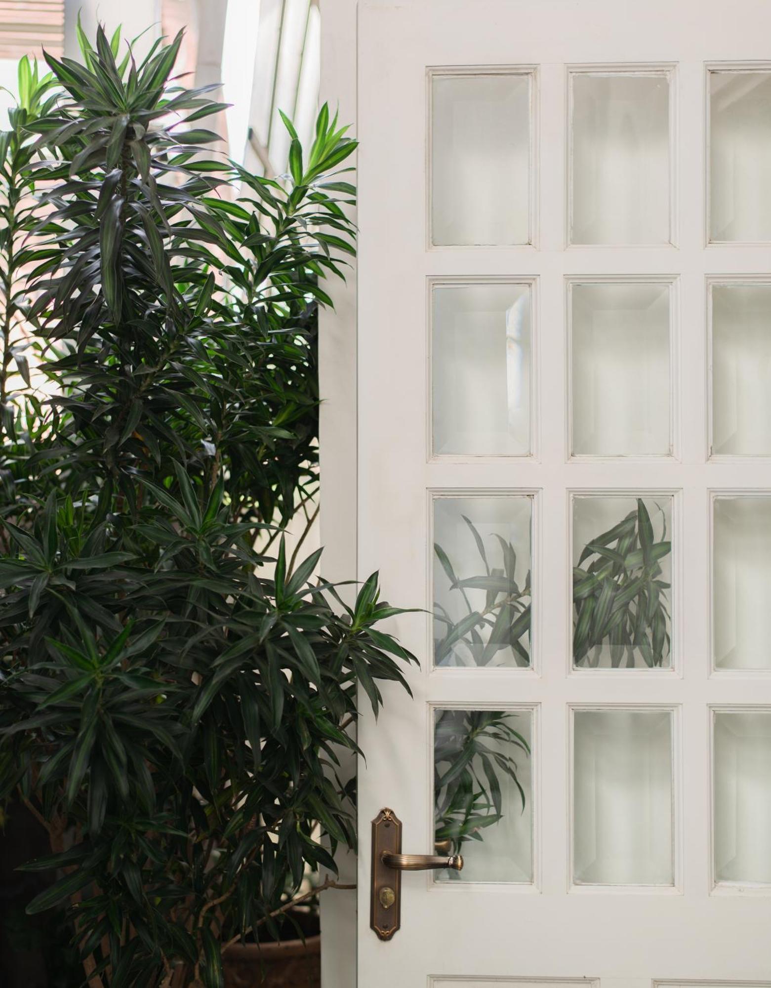 Le Soleil Boutique Hotel Đà Lạt Exterior foto